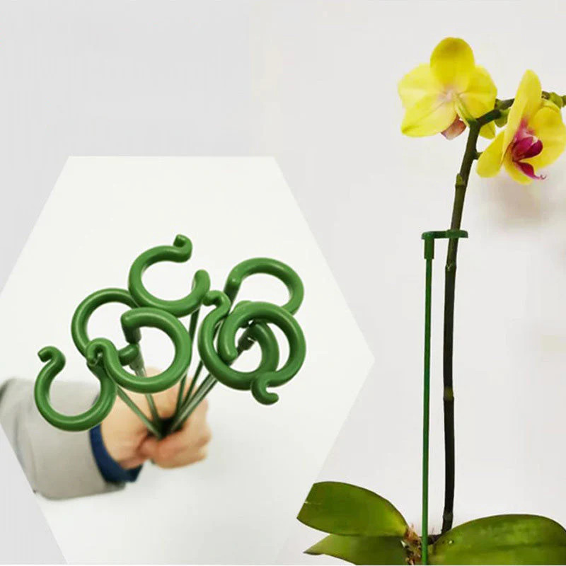 Graceful Stem Support