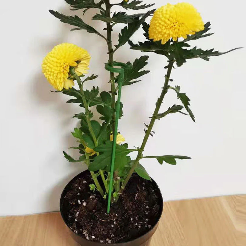 Graceful Stem Support