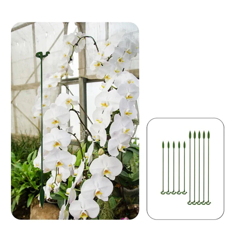 Graceful Stem Support