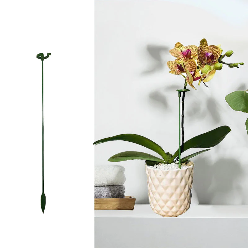 Graceful Stem Support