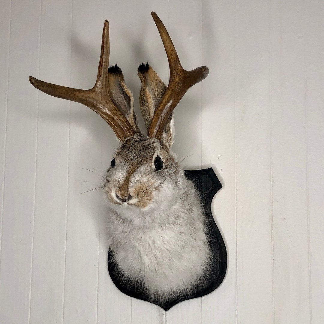 ❤️Handcrafted  Jackalope-Decorative Arts
