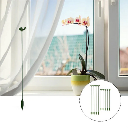Graceful Stem Support