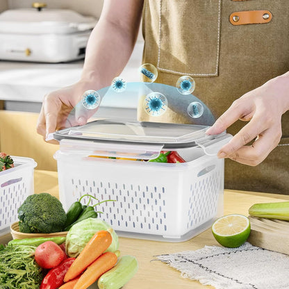 🔥Limited-time Offer: 50% OFF🥗 4-in-1 Produce Saver Container