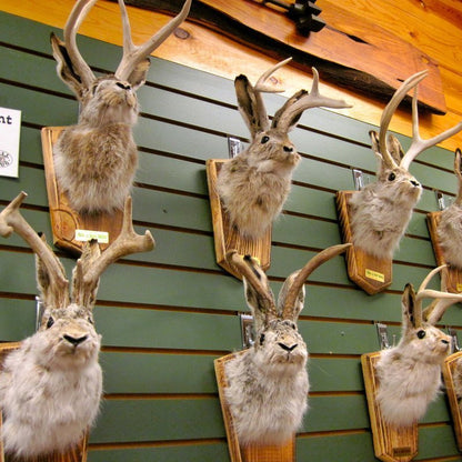 ❤️Handcrafted  Jackalope-Decorative Arts