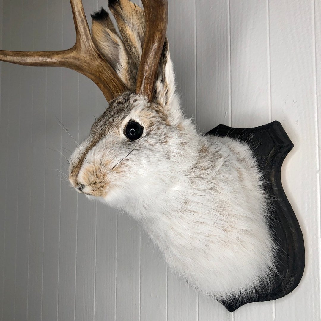 ❤️Handcrafted  Jackalope-Decorative Arts