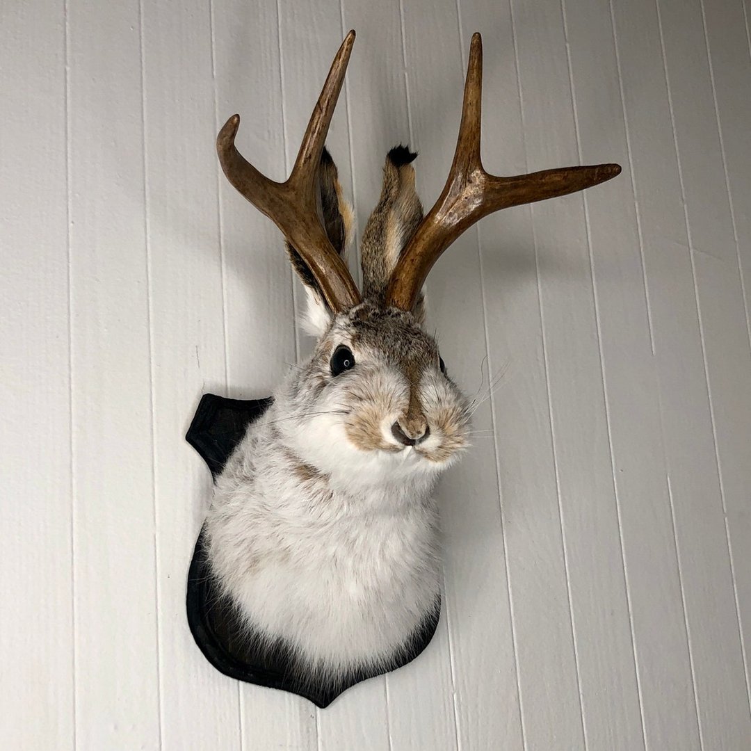 ❤️Handcrafted  Jackalope-Decorative Arts