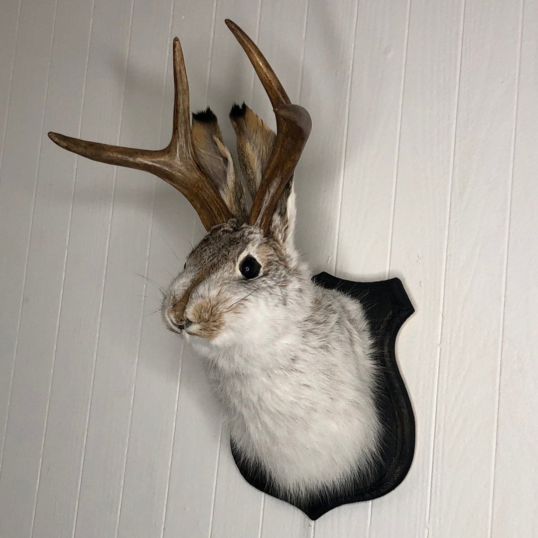 ❤️Handcrafted  Jackalope-Decorative Arts