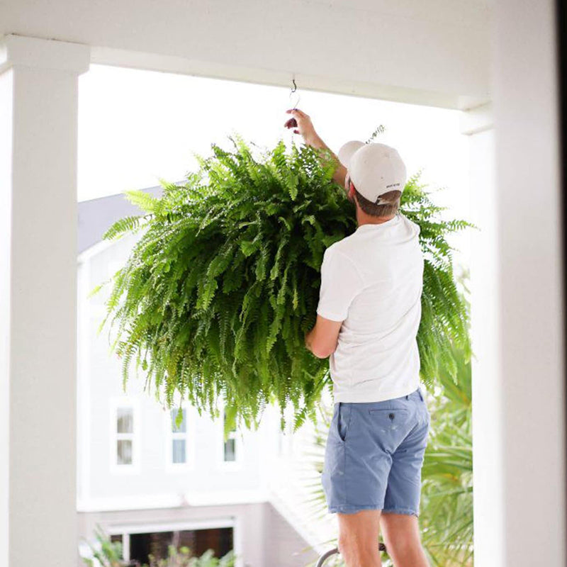🔥 $12.96 On Sale Only Today 🌱 UV-Resistant Lifelike Artificial Boston Fern