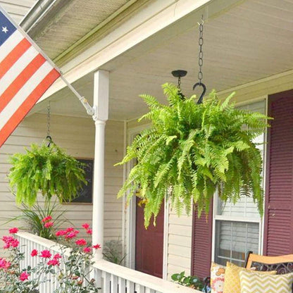 🔥 $12.96 On Sale Only Today 🌱 UV-Resistant Lifelike Artificial Boston Fern