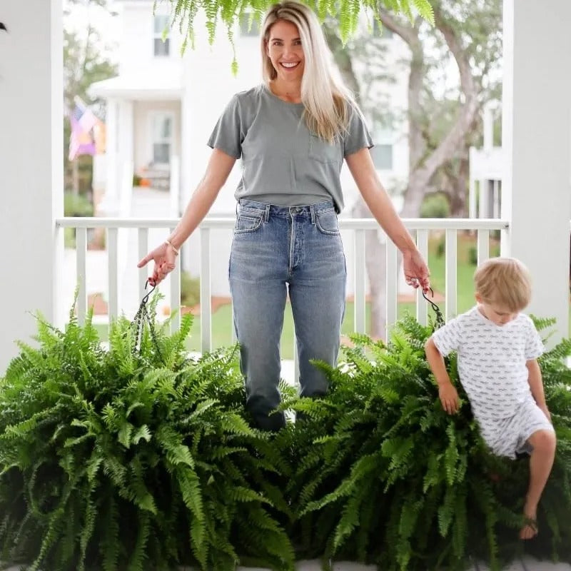 🔥 $12.96 On Sale Only Today 🌱 UV-Resistant Lifelike Artificial Boston Fern